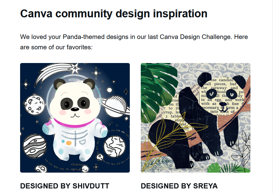 Canva design challenge featured Panda themed designs